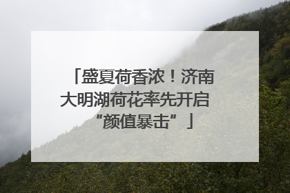 盛夏荷香浓！济南大明湖荷花率先开启“颜值暴击”