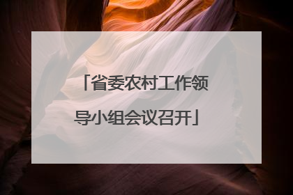 省委农村工作领导小组会议召开