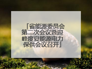 省能源委员会第二次会议暨迎峰度夏能源电力保供会议召开