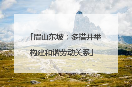 眉山东坡：多措并举构建和谐劳动关系