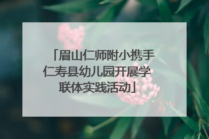 眉山仁师附小携手仁寿县幼儿园开展学联体实践活动