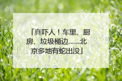 真吓人！车里、厨房、垃圾桶边……北京多地有蛇出没