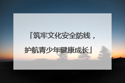 筑牢文化安全防线，护航青少年健康成长