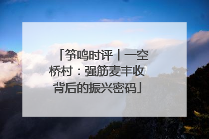 筝鸣时评丨一空桥村：强筋麦丰收背后的振兴密码