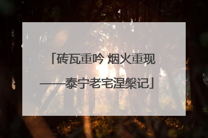 砖瓦重吟 烟火重现——泰宁老宅涅槃记