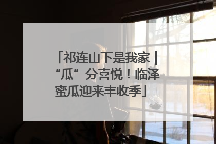 祁连山下是我家｜“瓜”分喜悦！临泽蜜瓜迎来丰收季