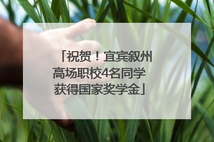 祝贺！宜宾叙州高场职校4名同学获得国家奖学金