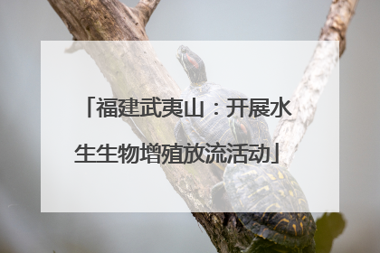 福建武夷山：开展水生生物增殖放流活动