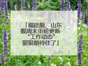 福建舰、山东舰周末重磅更新“工作动态” 狠狠期待住了