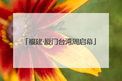 福建·厦门台湾周启幕