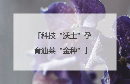 科技“沃土”孕育油菜“金种”