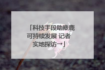 科技手段助麋鹿可持续发展 记者实地探访→
