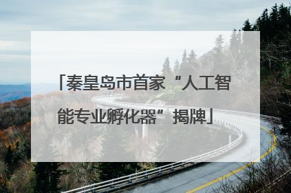 秦皇岛市首家“人工智能专业孵化器”揭牌