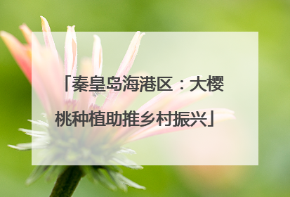 秦皇岛海港区：大樱桃种植助推乡村振兴