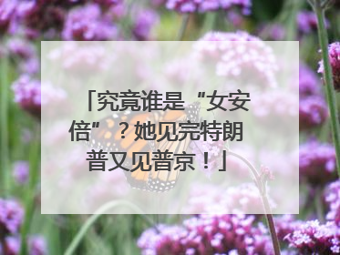 究竟谁是“女安倍”？她见完特朗普又见普京！