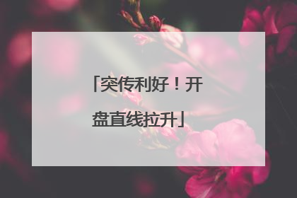 突传利好！开盘直线拉升