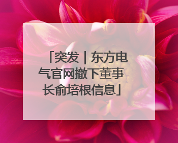 突发｜东方电气官网撤下董事长俞培根信息