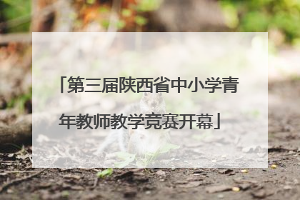 第三届陕西省中小学青年教师教学竞赛开幕