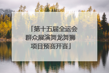 第十五届全运会群众展演舞龙舞狮项目预赛开赛