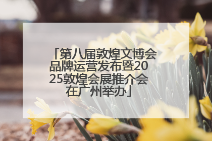 第八届敦煌文博会品牌运营发布暨2025敦煌会展推介会在广州举办