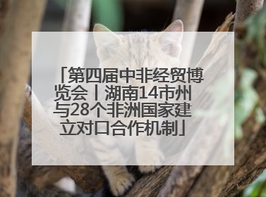 第四届中非经贸博览会丨湖南14市州与28个非洲国家建立对口合作机制