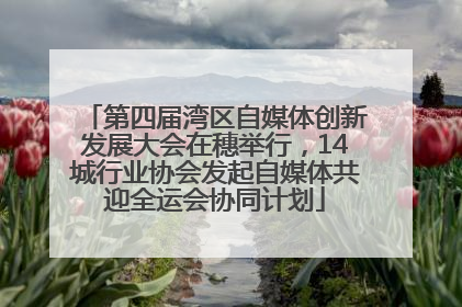 第四届湾区自媒体创新发展大会在穗举行，14城行业协会发起自媒体共迎全运会协同计划