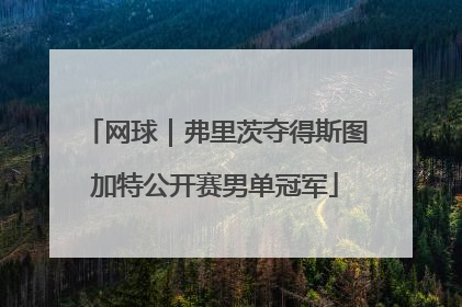 网球｜弗里茨夺得斯图加特公开赛男单冠军