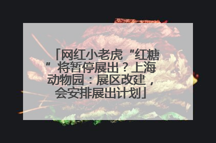 网红小老虎“红糖”将暂停展出？上海动物园：展区改建，会安排展出计划