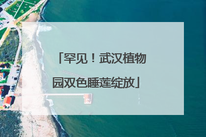 罕见！武汉植物园双色睡莲绽放