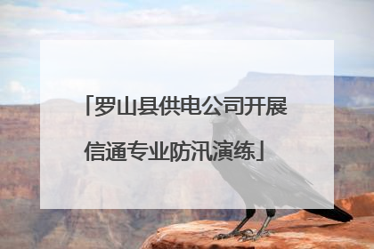 罗山县供电公司开展信通专业防汛演练