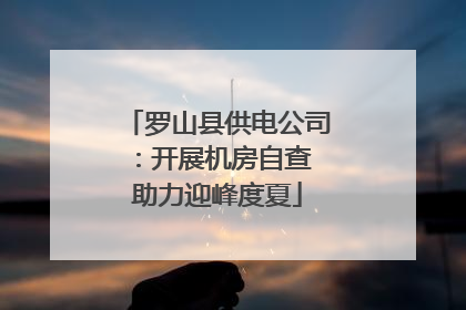 罗山县供电公司：开展机房自查 助力迎峰度夏