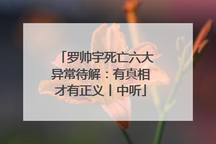 罗帅宇死亡六大异常待解：有真相才有正义丨中听