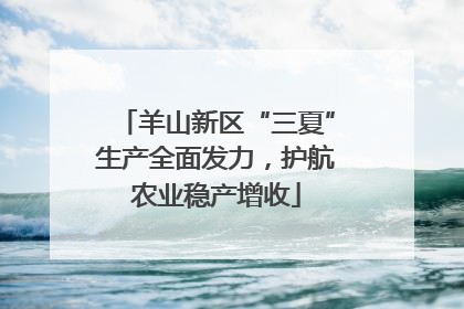 羊山新区“三夏”生产全面发力，护航农业稳产增收