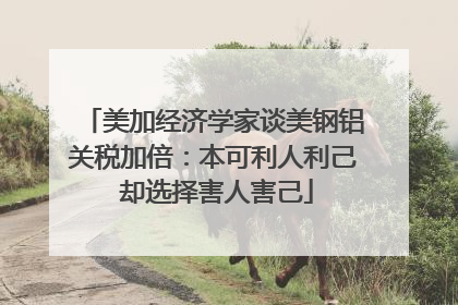 美加经济学家谈美钢铝关税加倍：本可利人利己 却选择害人害己