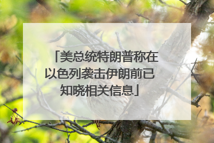 美总统特朗普称在以色列袭击伊朗前已知晓相关信息