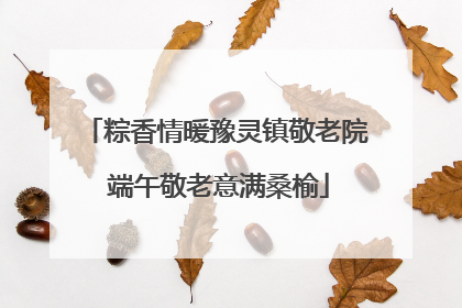 粽香情暖豫灵镇敬老院 端午敬老意满桑榆