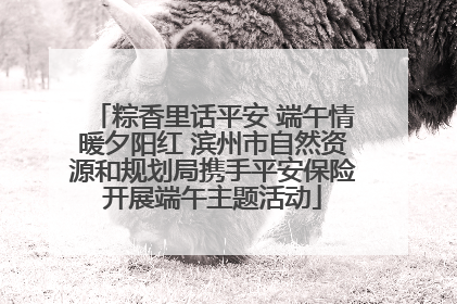 粽香里话平安 端午情暖夕阳红 滨州市自然资源和规划局携手平安保险开展端午主题活动