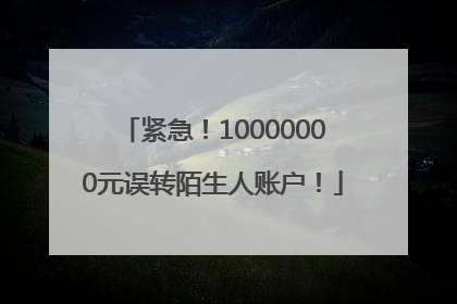 紧急！10000000元误转陌生人账户！