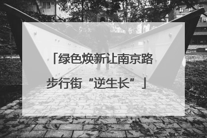 绿色焕新让南京路步行街“逆生长”
