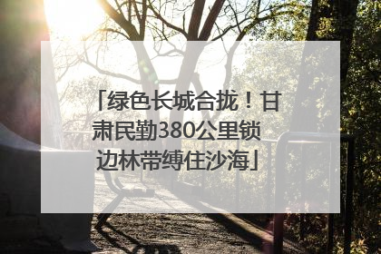 绿色长城合拢！甘肃民勤380公里锁边林带缚住沙海