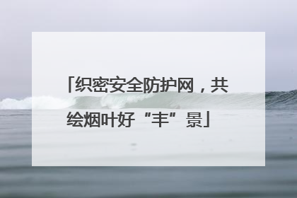 织密安全防护网，共绘烟叶好“丰”景
