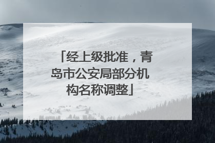 经上级批准，青岛市公安局部分机构名称调整