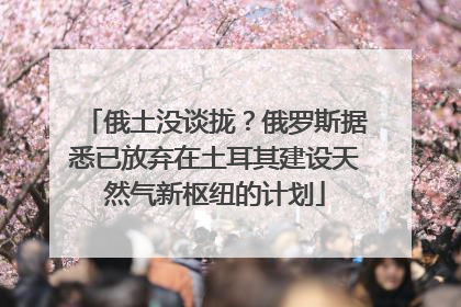 俄土没谈拢？俄罗斯据悉已放弃在土耳其建设天然气新枢纽的计划