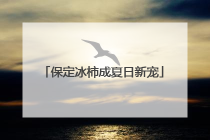 保定冰柿成夏日新宠