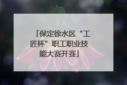 保定徐水区“工匠杯”职工职业技能大赛开赛
