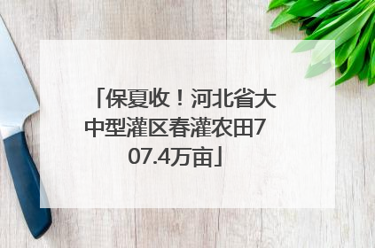 保夏收！河北省大中型灌区春灌农田707.4万亩
