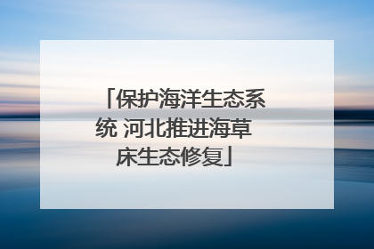 保护海洋生态系统 河北推进海草床生态修复