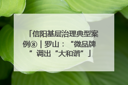 信阳基层治理典型案例⑧｜罗山：“微品牌”调出“大和谐”