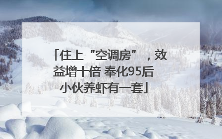 住上“空调房”，效益增十倍 奉化95后小伙养虾有一套