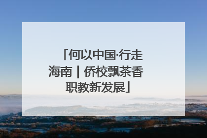 何以中国·行走海南｜侨校飘茶香 职教新发展